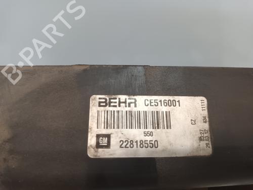 Radiator fan OPEL INSIGNIA A (G09)  | BP19637609M35 