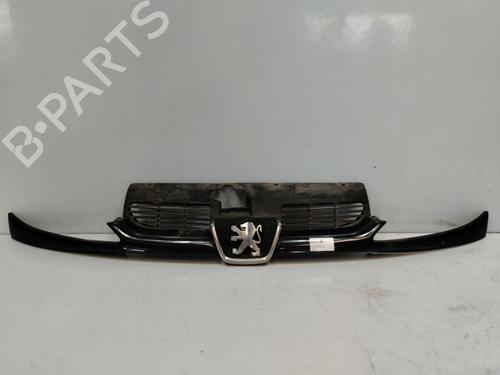 Grill Grill PEUGEOT 206 Hatchback (2A/C) 2.0 HDI 90 (90 hp) 36389561 36389561
