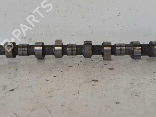 Used Other NISSAN ALMERA TINO (V10) [1998-2006]  13966536