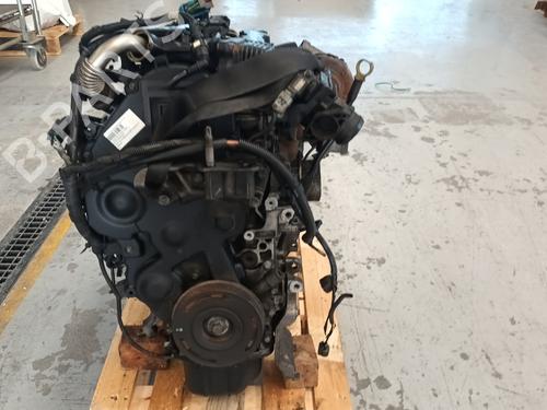 Motor FORD FOCUS II (DA_, HCP, DP) [2004-2013]  20138455