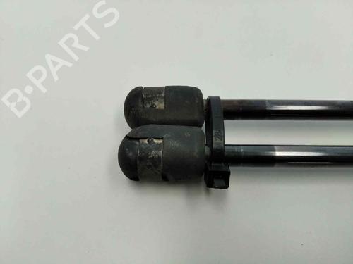 Tailgate lift support NISSAN MICRA III (K12) 1.4 16V | BP13977904C138