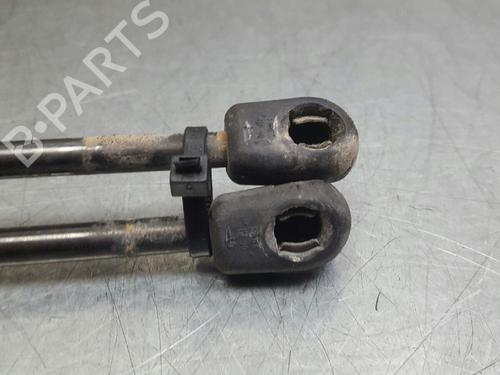Hood lift support TOYOTA AVALON Saloon (_X2_)  | BP13988243C139
