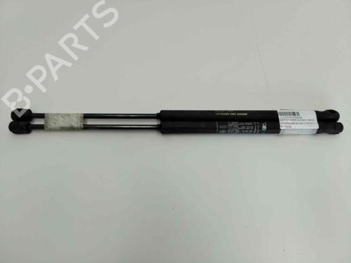 Ammortizzatore portellone posteriore FIAT PUNTO (188_) 1.2 16V 80 (188.233, .235, .253, .255, .333, .353, .639,... (80 hp) 13977962