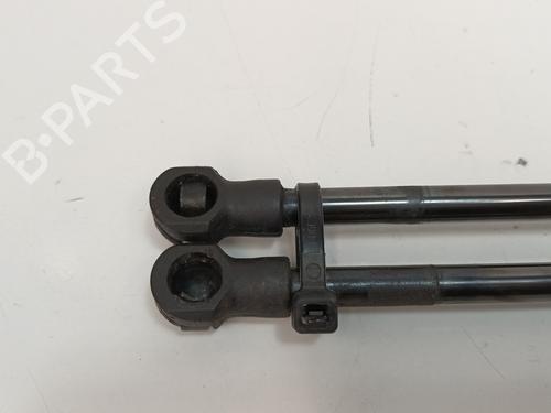 Tailgate lift support CITROËN XSARA Break (N2) 1.9 TD | BP13982707C138 