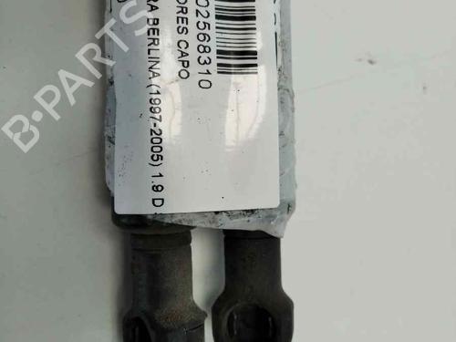 Hood lift support CITROËN XSARA Coupe (N0) 1.9 D | BP13977970C139 