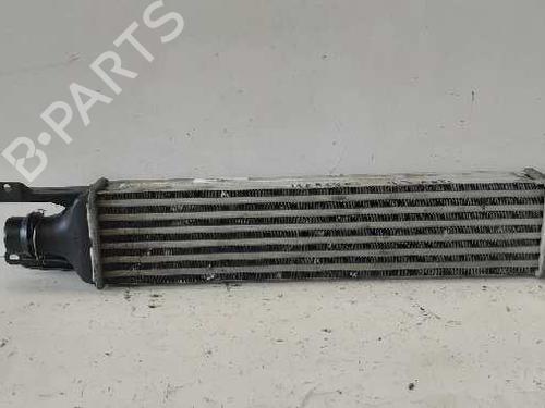 Intercooler OPEL MERIVA A MPV (X03) 1.3 CDTI (E75) | BP12731322M30 