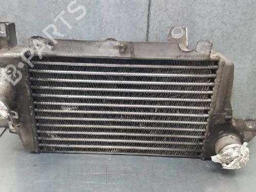 Intercooler TATA SAFARI (42_FD) [1998-2024]  12853731