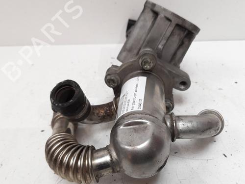 Egr FIAT DOBLO Platform/Chassis (263_) 1.3 D Multijet | BP12780263M69 