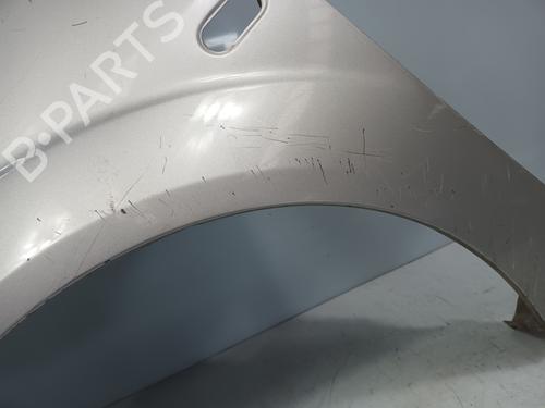 Left front fenders FORD FIESTA V (JH_, JD_) 1.3 | BP22422858C41 