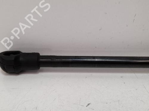 Hood lift support AUDI A3 (8L1) 1.9 TDI | BP13976950C139 