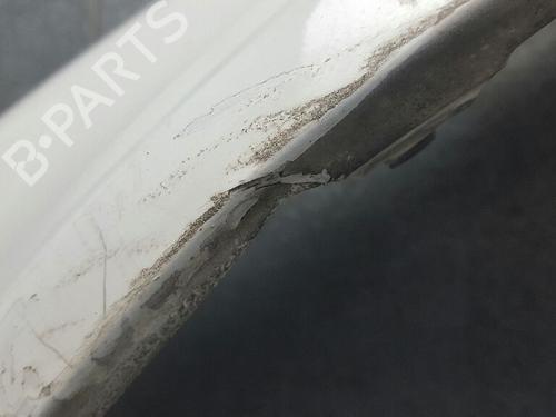 Left front fenders SKODA OCTAVIA I (1U2) 1.9 TDI | BP12725595C41 