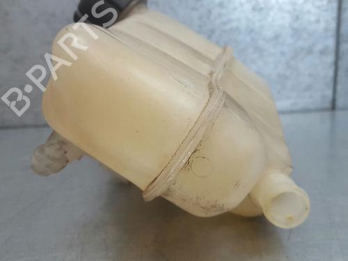 Expansion tank RENAULT CLIO III (BR0/1, CR0/1) 1.2 16V (BR0R, BR1D, BR1L, CR0R) | BP12720566C120 