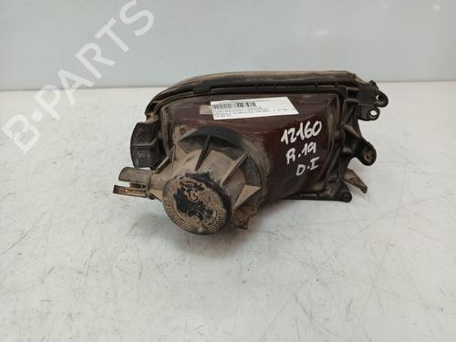 Left front fog light RENAULT 19 II (B/C53_)  | BP29726618C30 