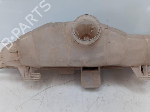Used Expansion tank RENAULT CLIO III (BR0/1, CR0/1) 2.0 16V (BR0C, BR0K, CR0C, CR0K) (139 hp) 20136817