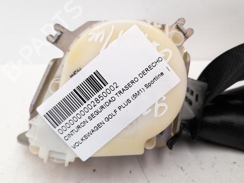 Used Rear right seatbelt VW GOLF PLUS V (5M1, 521) 1.9 TDI (105 hp) 12780057