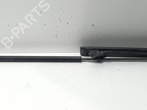 Gasdæmper bagklap LAND ROVER FREELANDER I (L314) 2.0 Td4 4x4 (112 hp) 16453816