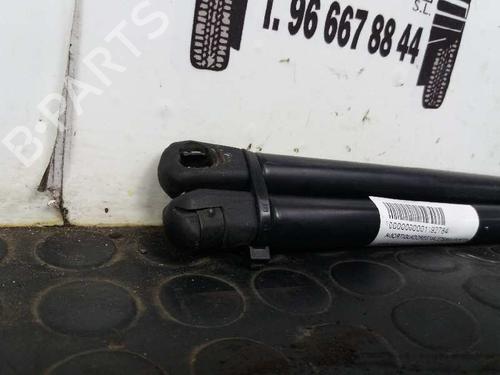 Tailgate lift support MERCEDES-BENZ M-CLASS (W163) ML 270 CDI (163.113) | BP13968037C138 