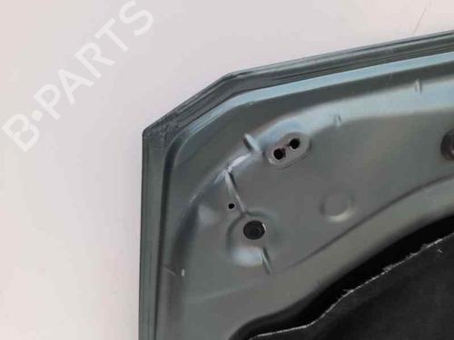 Hood RENAULT MEGANE II (BM0/1_, CM0/1_) 1.5 dCi (BM0F, BM0T, BM2B, CM0F, CM0T) | BP12688981C1 