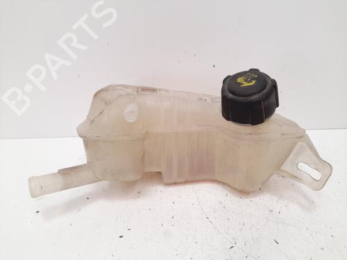Expansion tank RENAULT SCÉNIC II (JM0/1_) 1.5 dCi (JM02, JM13) | BP12779681C120 