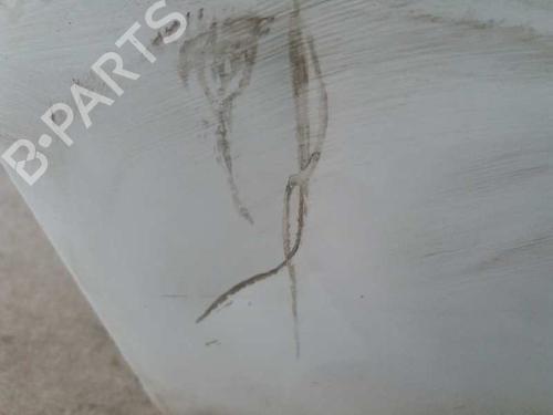 Left front door NISSAN INTERSTAR Van (X70) dCi 120 | BP12817626C2 