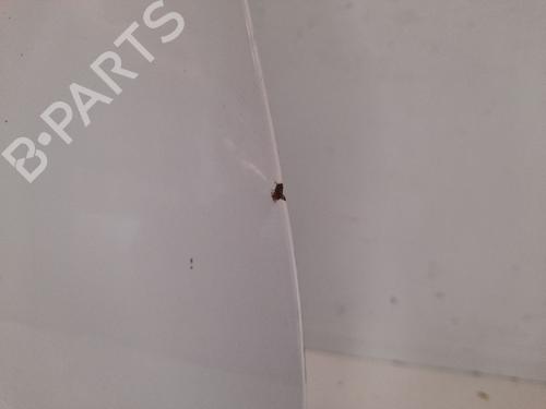 Right front door SEAT INCA (6K9)  | BP12732983C3 
