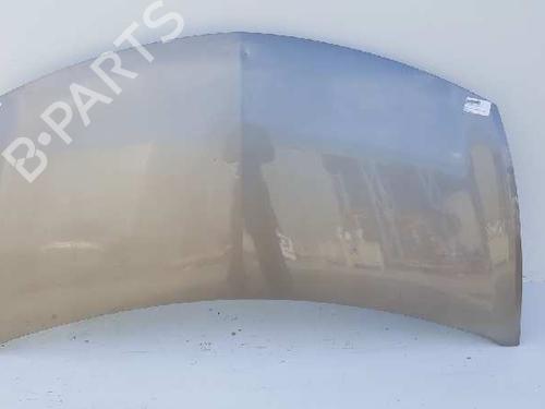Used Hood RENAULT CLIO III (BR0/1, CR0/1) 1.2 16V (BR02, BR0J, BR11, CR02, CR0J, CR11) (75 hp) 12799890