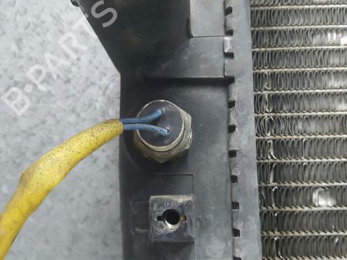 Water radiator TATA INDIGO MARINA (4_V2)  | BP12853926M31 