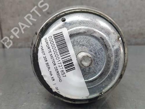 Used Engine mount PEUGEOT 206 Hatchback (2A/C) 1.4 LPG (75 hp) 12719025