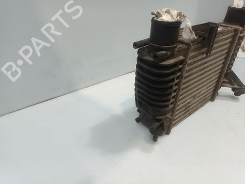 Intercooler NISSAN NV200 / EVALIA Bus | BP31920459M30
