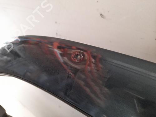 Left front door RENAULT SAFRANE II (B54_) 2.2 dT (B54G) | BP12732778C2 