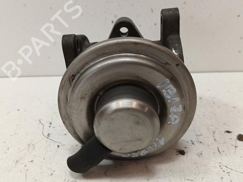 Egr SEAT IBIZA III (6L1)  | BP15484223M69 