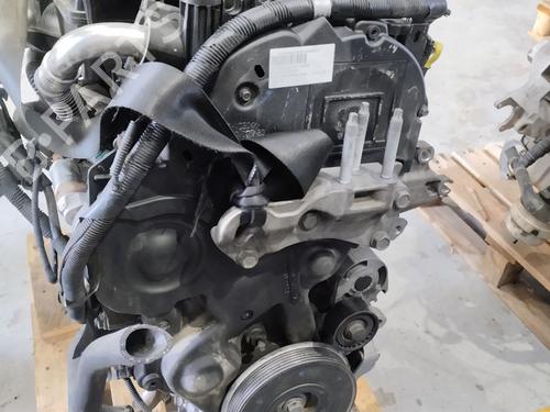 Engine FORD FUSION (JU_) 1.4 TDCi | BP31920491M1