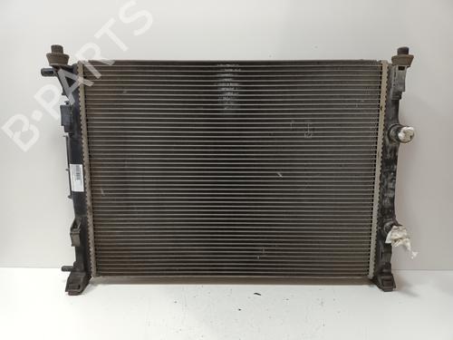 Radiador de água RENAULT MEGANE II (BM0/1_, CM0/1_) 1.5 dCi (BM1F, CM1F) (86 hp) 17719076