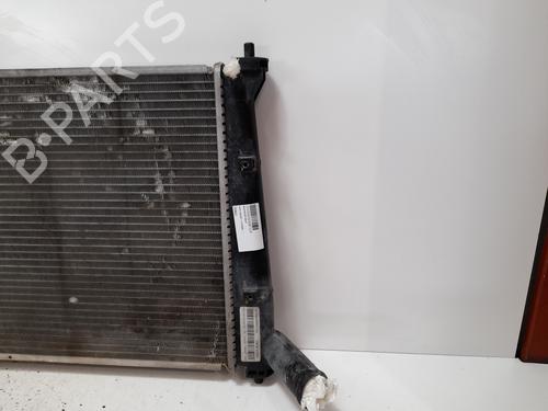 Water radiator TATA INDICA  | BP12852296M31 