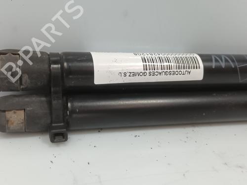 Tailgate lift support NISSAN MICRA II (K11)  | BP26686915C138 
