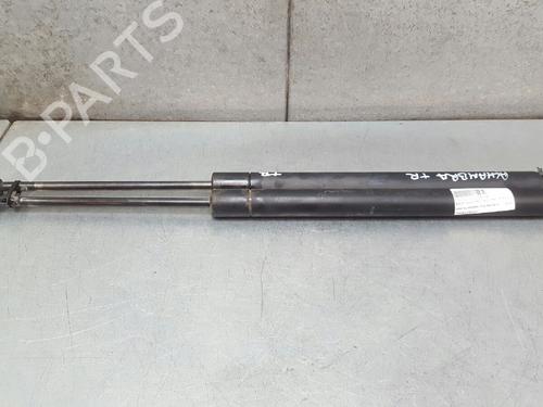 Used Tailgate lift support SEAT ALHAMBRA (7V8, 7V9) 2.0 i (115 hp) 13976021