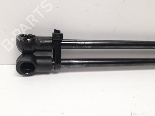 Tailgate lift support KIA CARENS II MPV (FJ) 2.0 CRDi | BP13981627C138 