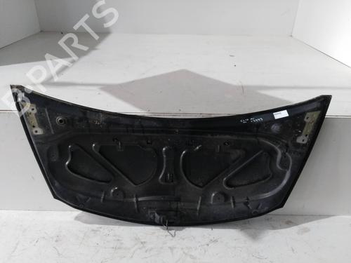 Hood RENAULT CLIO III (BR0/1, CR0/1) 1.4 16V | BP12719288C1 