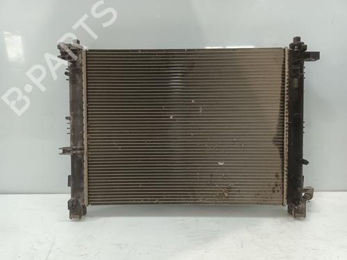 Køler DACIA LODGY (JS_) | BP30133431M31