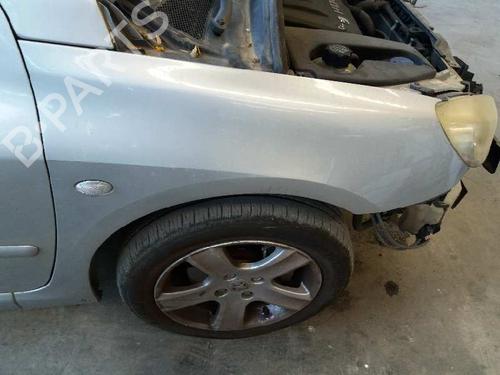 Eksosanlegg PEUGEOT 307 (3A/C) 2.0 HDi 110 | BP13969886M121 