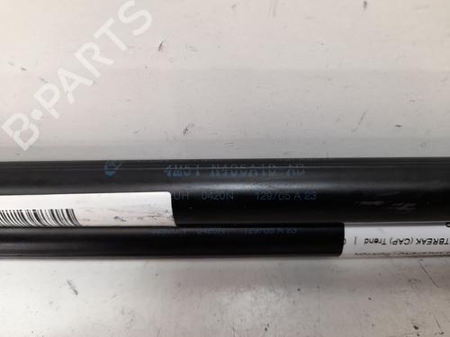 Tailgate lift support FORD FOCUS II Turnier (DA_, FFS, DS) 1.8 TDCi | BP13978070C138 