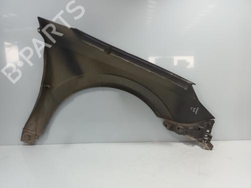 Left front fenders OPEL SIGNUM Hatchback (Z03) 1.9 CDTI (F48) | BP20137685C41 