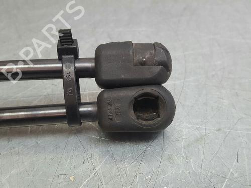 Tailgate lift support SKODA RAPID (NH3, NK3, NK6) 1.6 TDI | BP13975471C138 