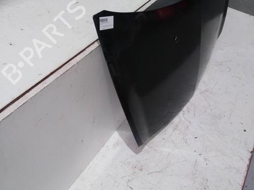 Hood RENAULT CLIO III (BR0/1, CR0/1) 1.4 16V | BP12719288C1 