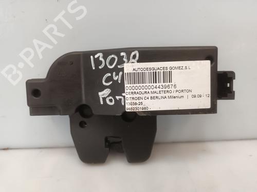 BP30096112C101 main image