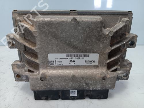 Used Engine control unit (ECU) FORD KA+ III (UK, FK) 1.2 Ti-VCT (85 hp) 25203600