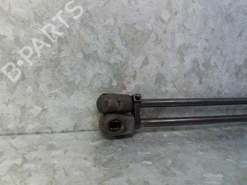 Hood lift support VW TOUAREG (7LA, 7L6, 7L7) 4.2 V8 | BP13968286C139 