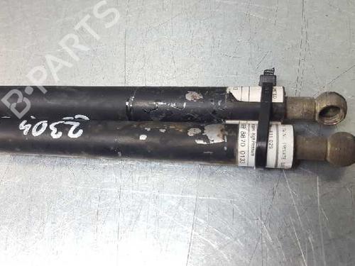 Hood lift support TATA SAFARI (42_FD) 2.0 TDi | BP13986762C139 