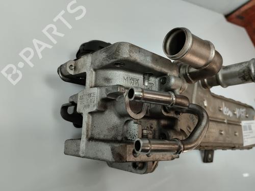 Egr SEAT LEON (1P1) 1.9 TDI | BP32521098M69