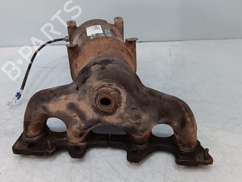 Catalyst TATA INDICA VISTA | BP31215253M10